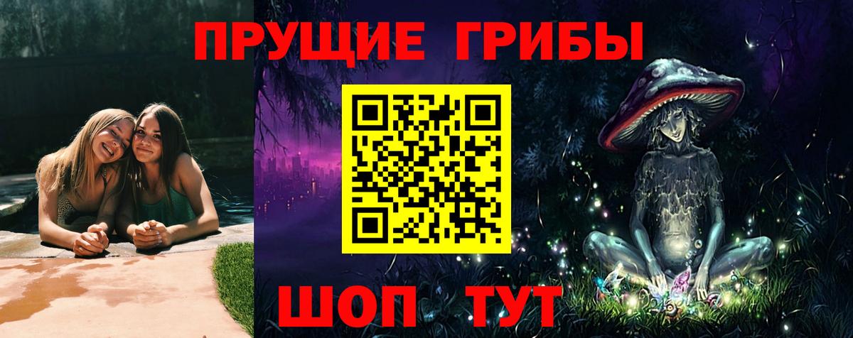 Псилоцибиновые грибы мухоморы Дербент