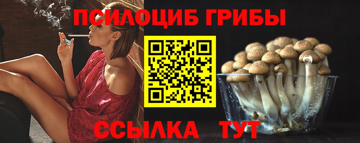 Дербент  Псилоцибиновые грибы мухоморы  Вход с VPN  Псилоцибиновые грибы MAGIC MUSHROOMS 